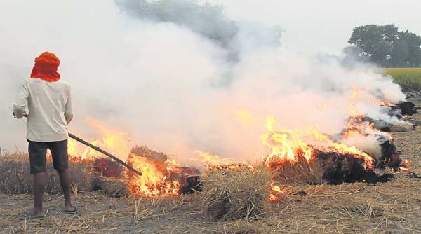 Crop Burning